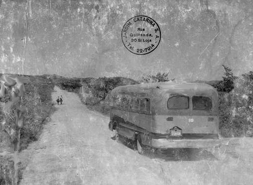 A origem do nome, o passado e o presente do Jardim Catarina